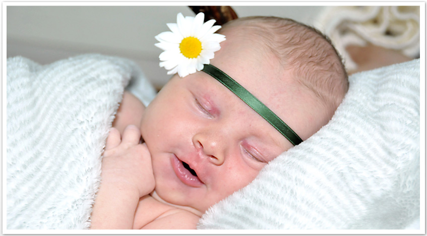 Daniela Bergmann Fotografie